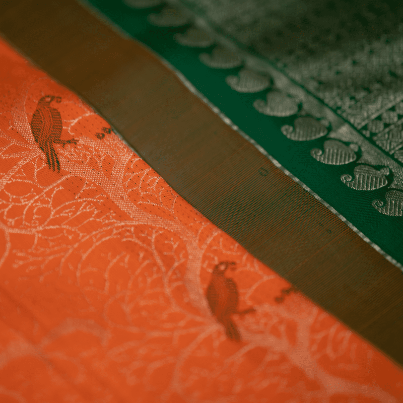 Tango Orange Kanchipuram with Kili Meena Tango Orange Kanchipuram with Kili Meena